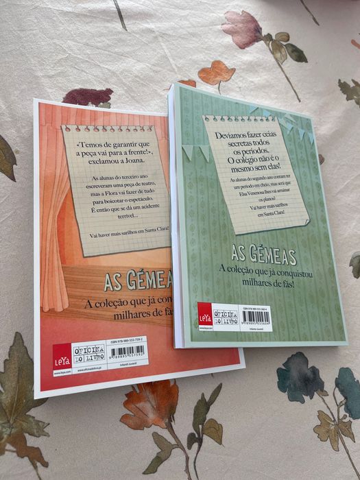 2 Books from the "The Twins" Collection64738672816258121