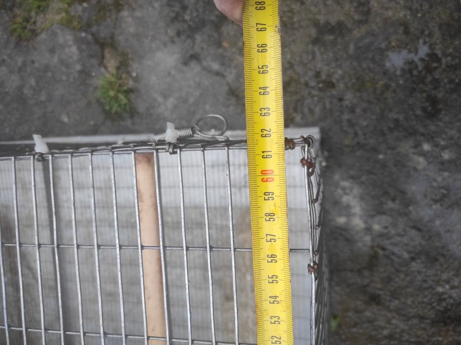 Gaiolas para criação de ring neck.