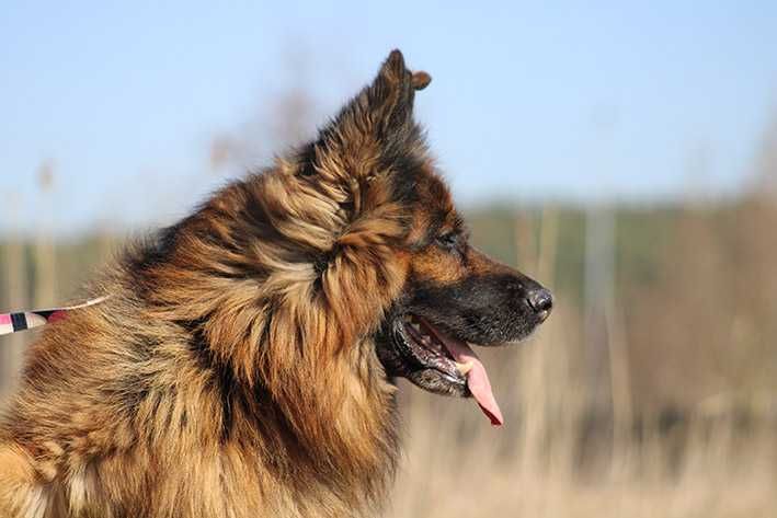 Filip szuka wspaniałego domu !