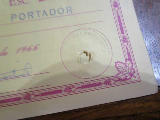 Ações Cerveja Companhia Portugália 1966