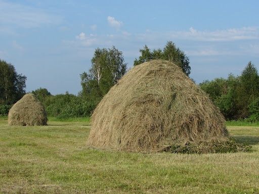 Продам сіно та солому