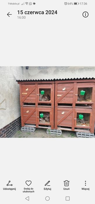 Nowa klatka dla królików