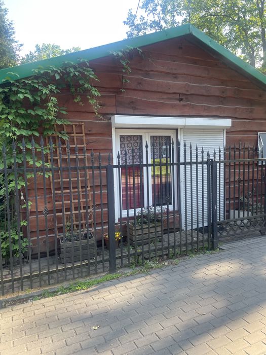 Lokal do wynajecia