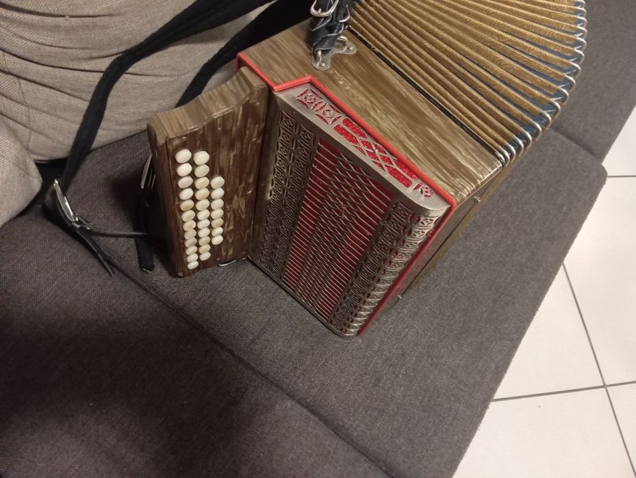 Concertina horganola
