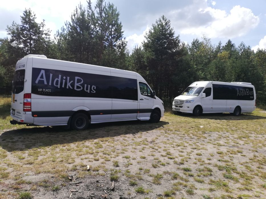 Usługi przewozowe, transport osobowy, przewóz osób, wynajem busa