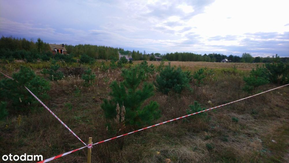 Sprzedam działkę budowlaną przy lesie . MPZP = szybka budowa domu - Widok 2