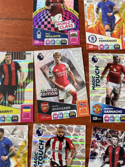 Картки паніні 24/25