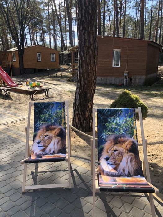 Domki Letniskowe Jezioro Las .Blisko do Centrum, Plaża SIELPIA