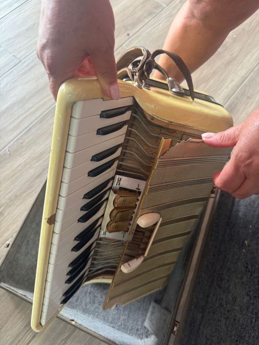 Acordeão Hohner Arietta IM