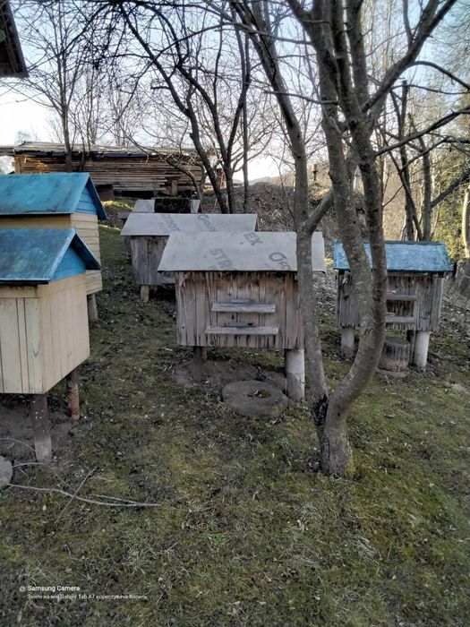 Продам вулики (дадановський лежак)