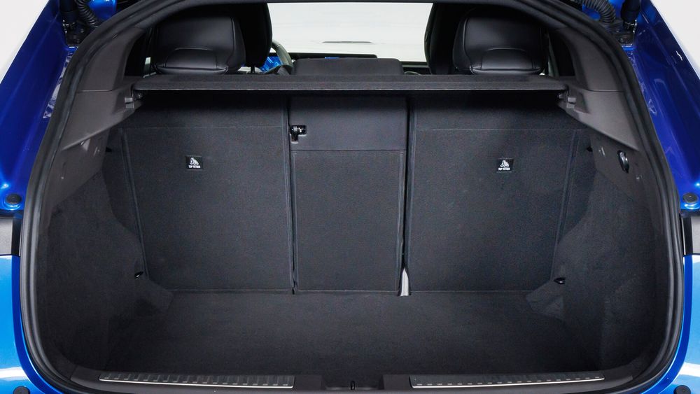 Zdjęcie w galerii numer 8