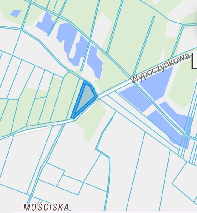 Las na sprzedaż Wielkopolskie