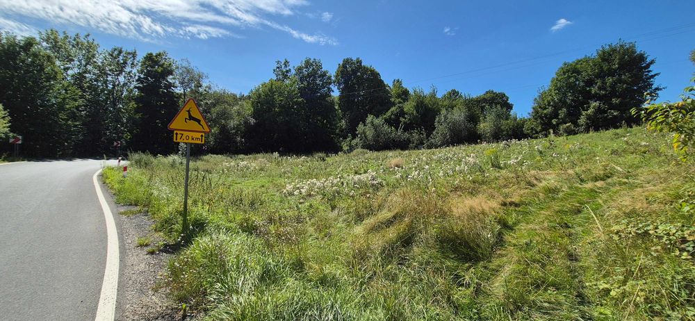 Działka 1885 m² przy drodze – uzgodniony zjazd  – Wojcieszów