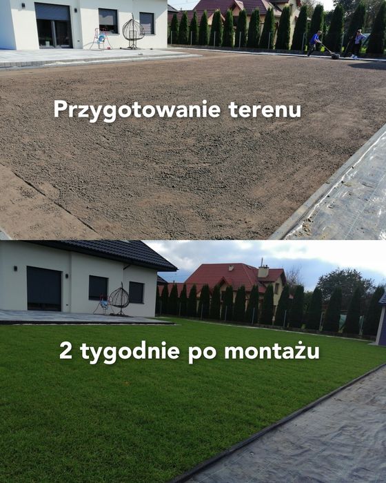 Zakładanie Ogrodów, trawników, systemów nawadniających, Pielęgnacja