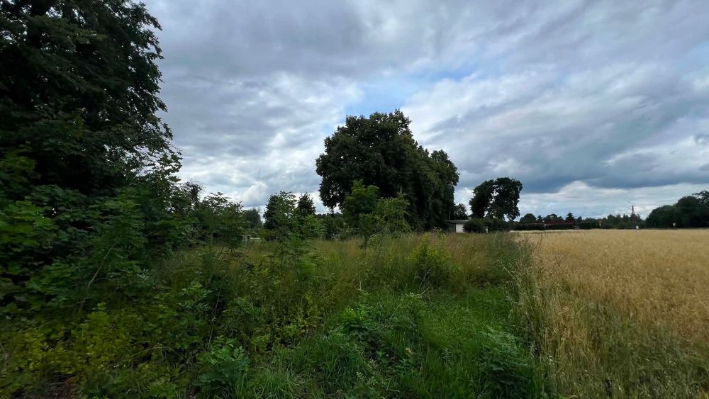 Działka nad J. Białym, gm. Gostynin, MPZP (5U), pod zabudowę użytkową - Widok 3