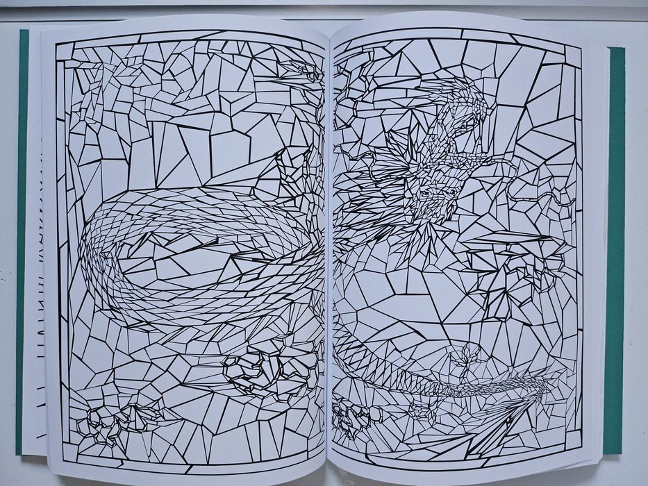 Kreatywna kolorowanka dla dorosłych mozaika Mooi Mozaïek Creatief Kleu