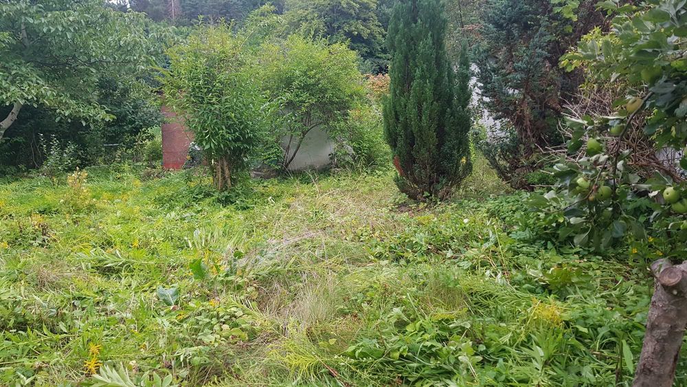 Działka ROD Leśnik 251 m² – Gdańsk Oliwa, ul. Kwietna, cisza, las, świetna lokalizacja - Widok 3