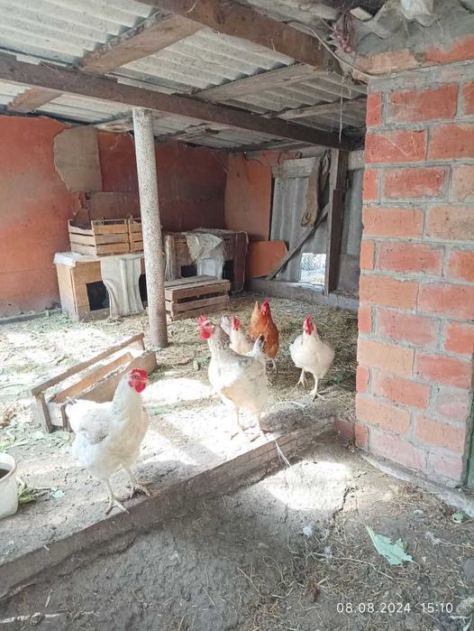 Продам.. двухэтажный кирпичный дом в Мерефе.