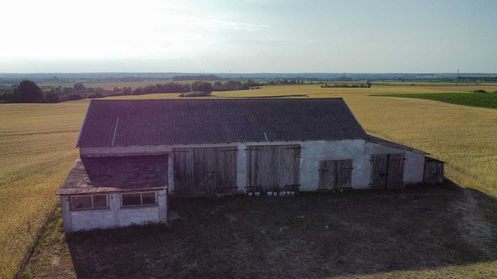 Sprzedam Siedlisko w Cielętach gmina Brodnica