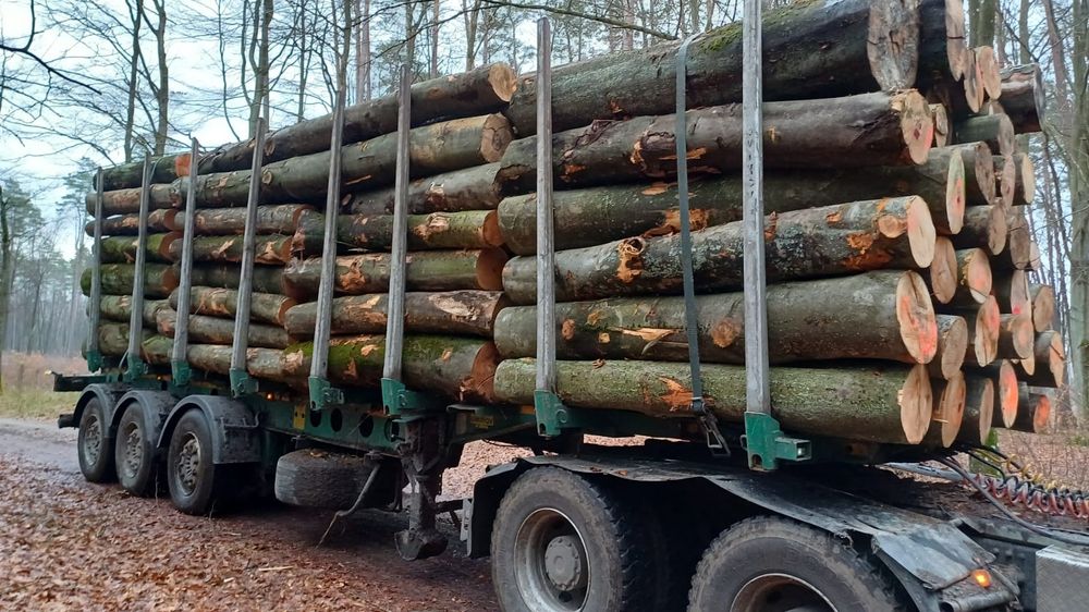 Drewno opałowe cięte rąbane transport gratis