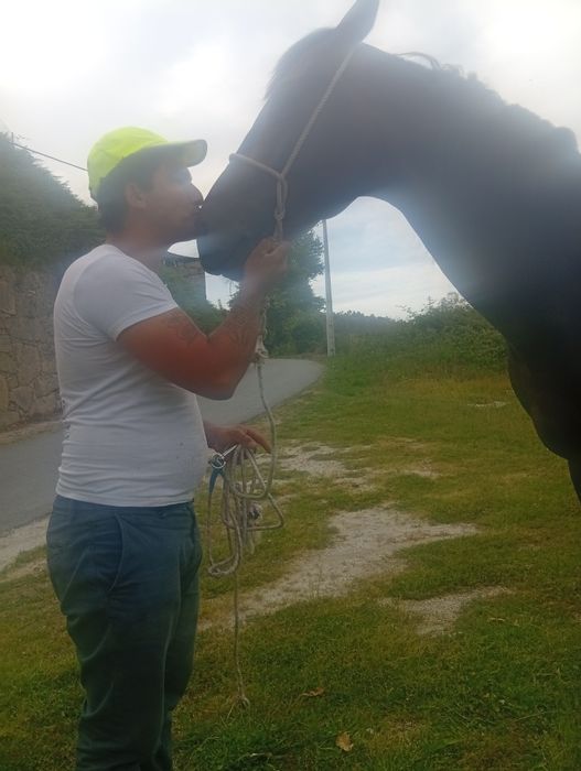 Vende-se cavalo inteiro trutador