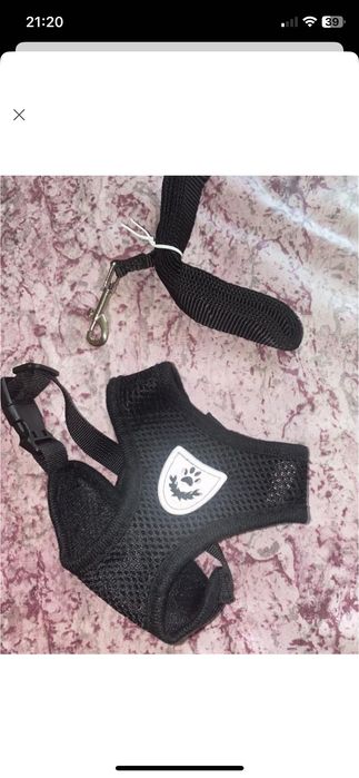 Новая шлейка на собаку маленькой породы