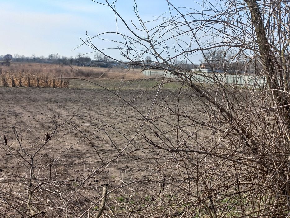 Продам земельну ділянку в с.Іванків