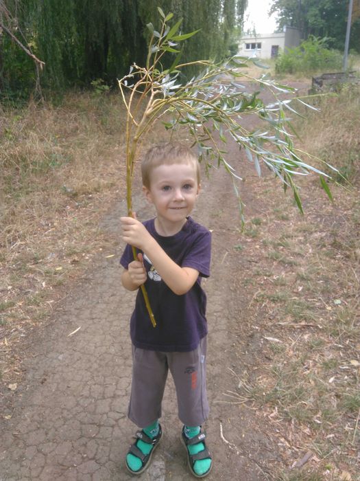 Допоможіть, будьласка, потрібні продукти харчування!!!