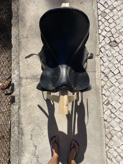Sela Lexhis KLL Dressage