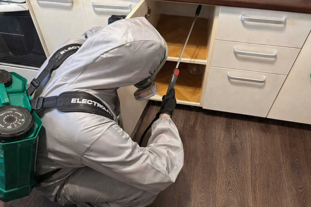 Обробка від тарганів клопів мишей | Дезінфекція квартири | Гарантія