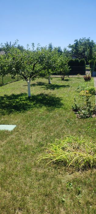 Sprzedam działkę,, ROD  PILCZYCE''- 470 M2 z murowaną altanką