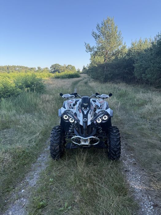 Can am renegade 500