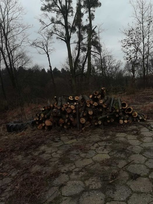 Karczowanie działek, przygotowanie działek pod inwestycje