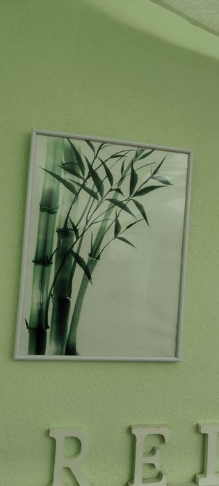 Quadro branco e verde usado