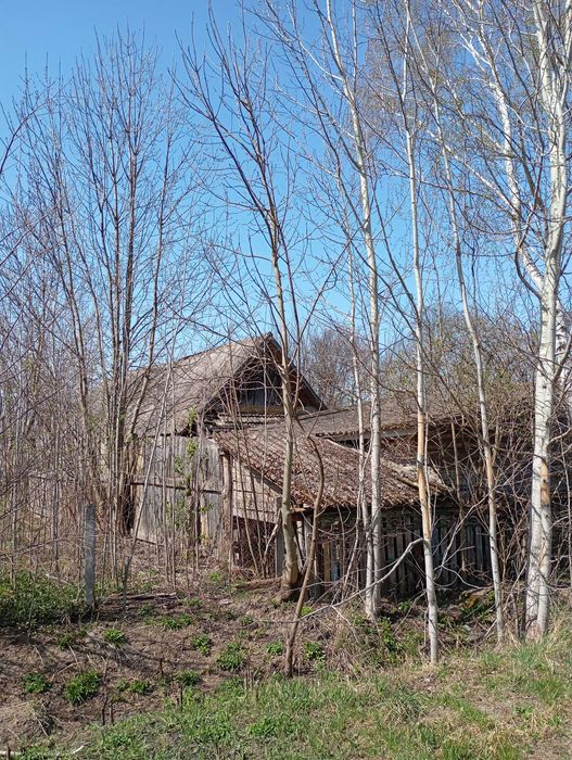 Продам будинок під розбирання і самовивіз.