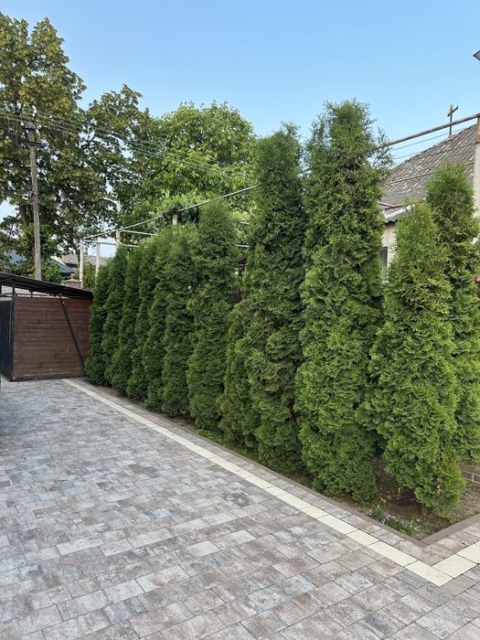 Будинок-заїжджай і живи!