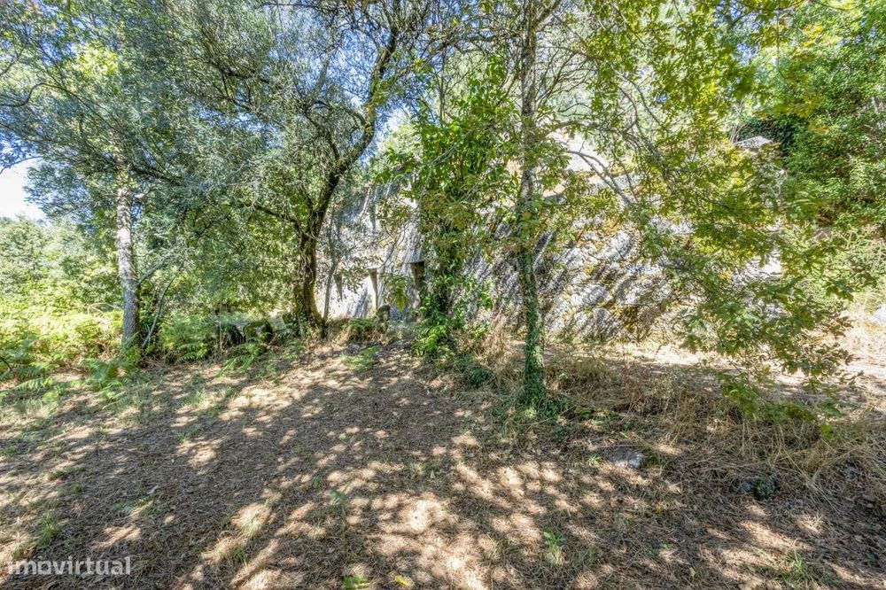 Quinta com 2 Hectares e Casa em Pedra para Recuperar em Gomide, Vila V