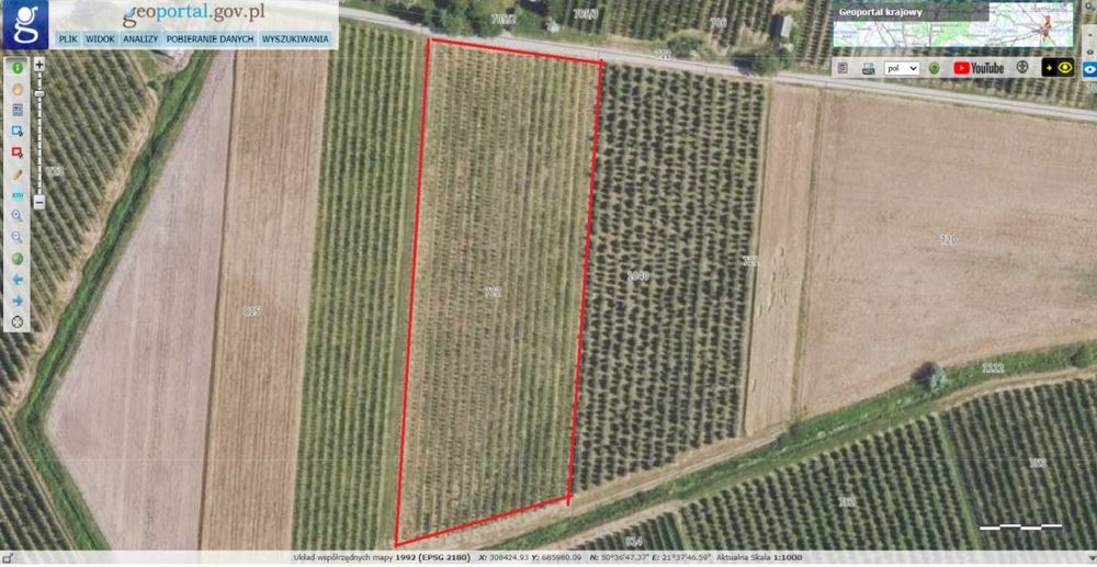 Sad jabłoniowy 1,09ha