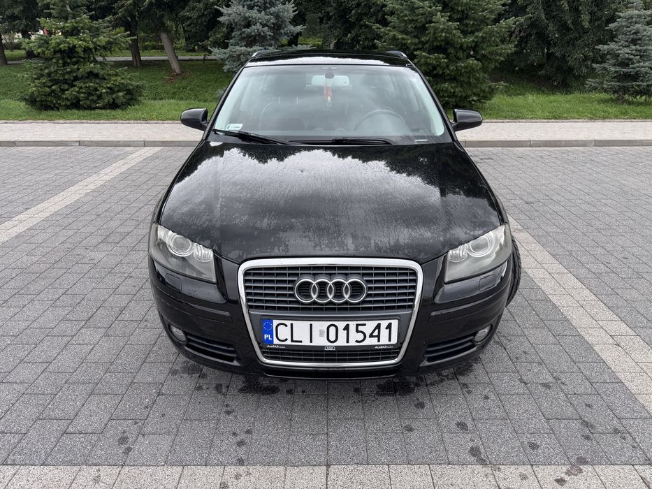 Audi A3 8P 1.9 TDI
