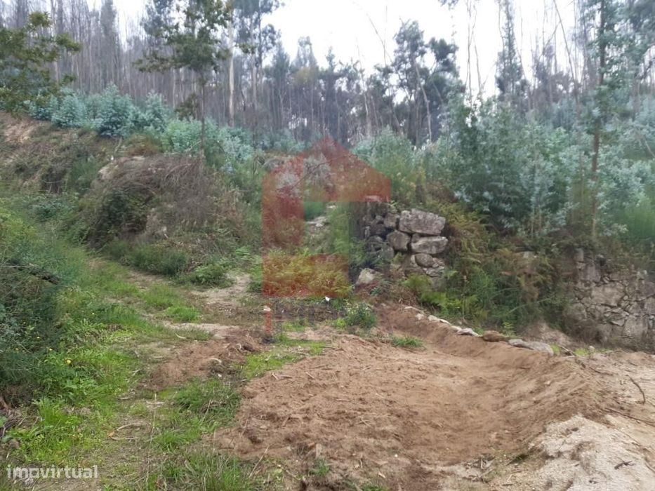 Terreno Florestal, Esqueiros