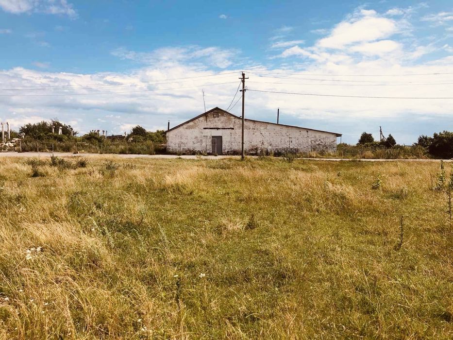 Свиноферма