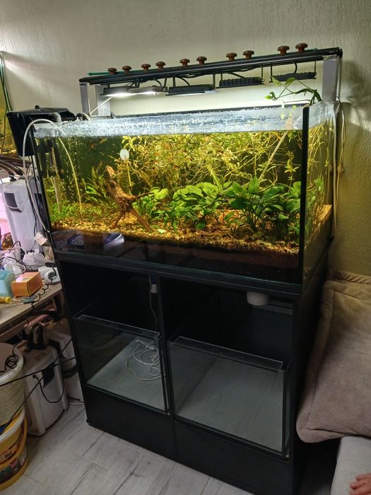 Аквариум великий на тумбі, і в тумбі ще 2 акваріума.