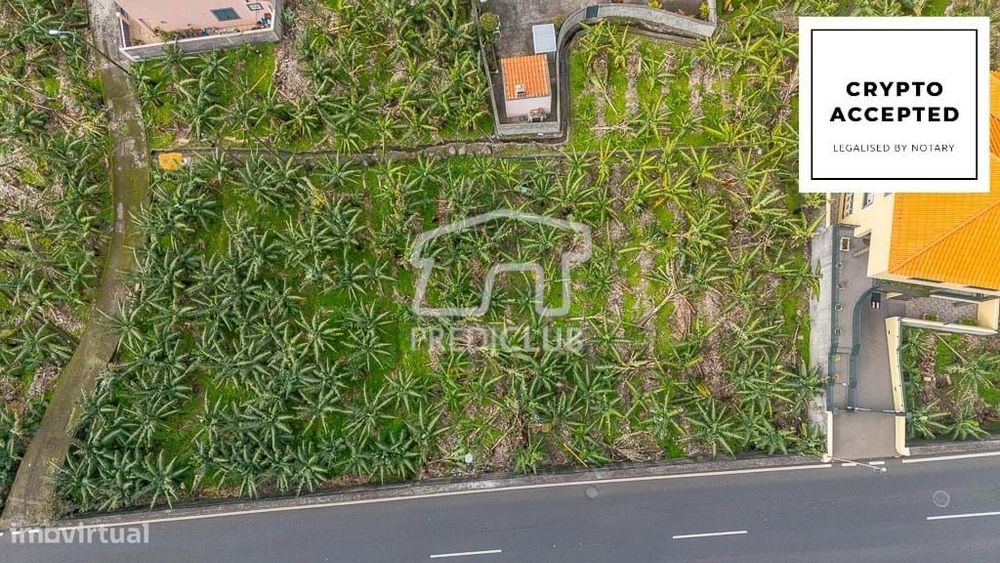 Terreno 600 m2 - Ribeira Brava