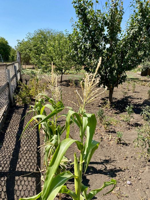 с. Степове. Продаж. Відмінний будинок 224м, ділянка 23 сотки