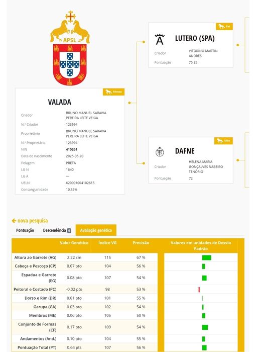 Poldra Lusitana Preta