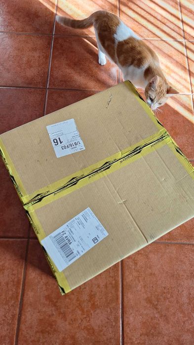 Jante cromada Harley Davidson