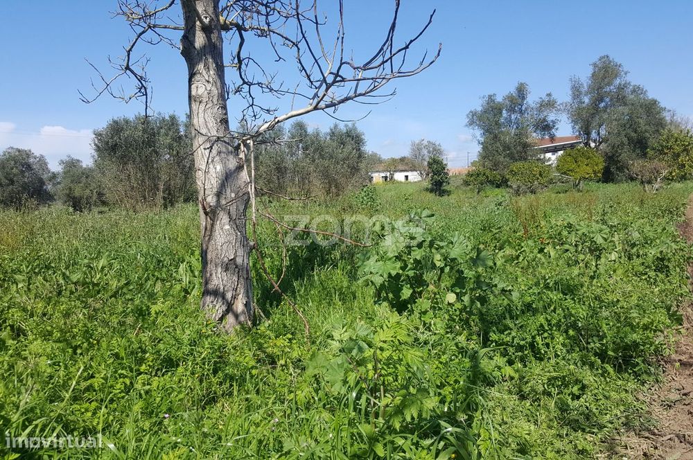 Terreno urbanizável em Milagres