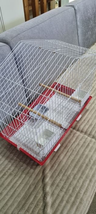Gaiola Passaros com Acessórios