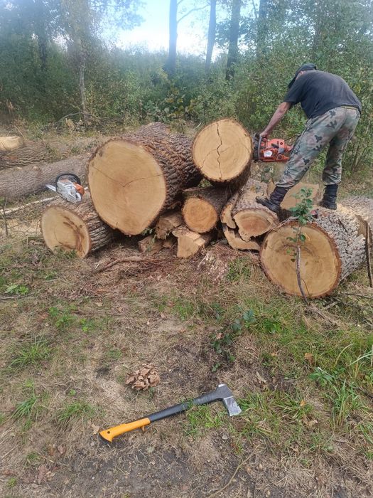 Drewno opałowe i kominkowe wycinka drzew