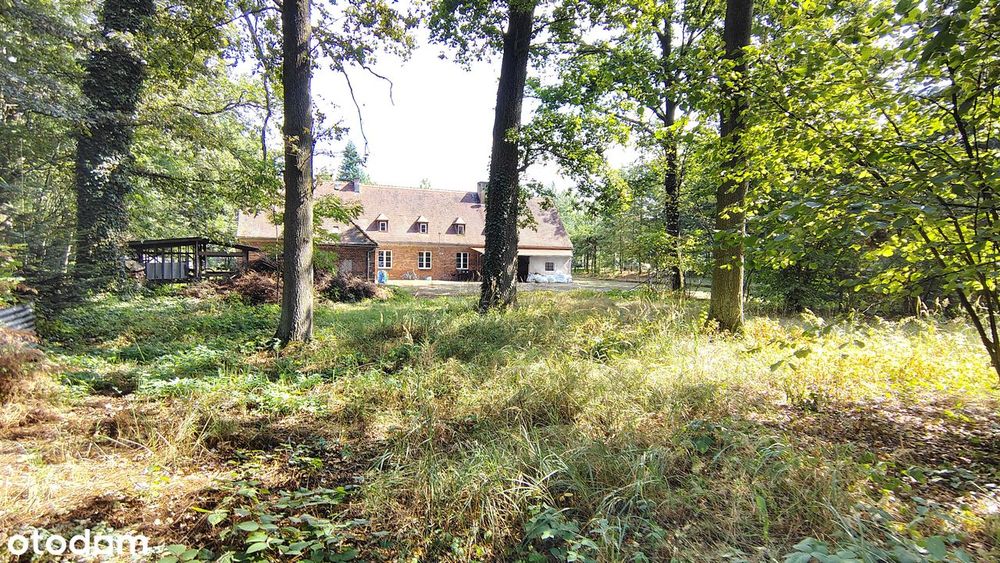 Wyjątkowa nieruchomość 464 m² | 37 arów | Ogromny potencjał biznesowy
